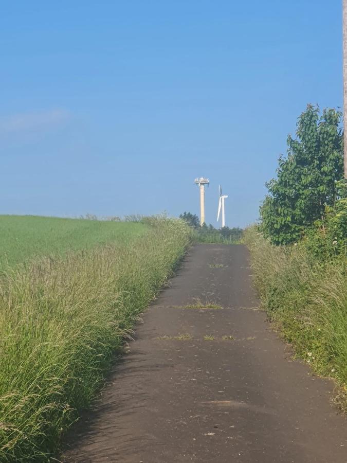 Schoene Aussicht Nettersheim エクステリア 写真