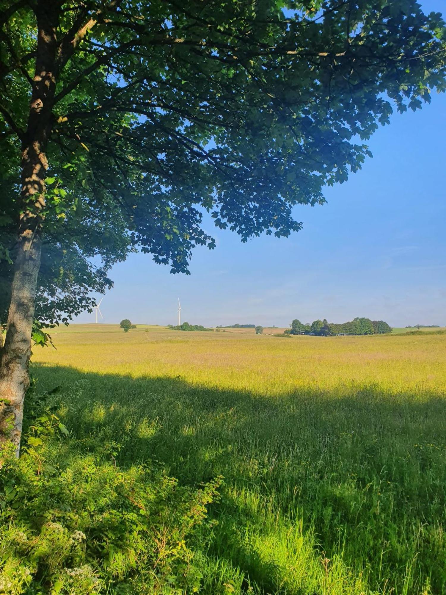 Schoene Aussicht Nettersheim エクステリア 写真